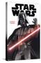 Star Wars: Saga - Darth Vader Feature Series-Trends International-Stretched Canvas