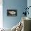 Star Wars: Saga - Millennium Falcon-Trends International-Stretched Canvas displayed on a wall