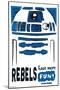 Star Wars: Saga - R2-D2 Fun-Trends International-Mounted Poster