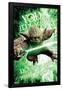 Star Wars: Saga - Yoda-Trends International-Framed Poster