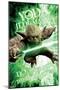 Star Wars: Saga - Yoda-Trends International-Mounted Poster