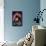 Star Wars: Solo - Lando-Trends International-Mounted Poster displayed on a wall