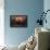 Star Wars: The Book of Boba Fett - Boba and Fennec Shand-Trends International-Framed Stretched Canvas displayed on a wall