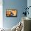 Star Wars: The Clone Wars - Ahsoka Tano-Trends International-Framed Stretched Canvas displayed on a wall