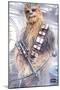 Star Wars: The Last Jedi - Chewie-Trends International-Mounted Poster