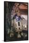 Star Wars: The Last Jedi - Droid And Porg-Trends International-Framed Poster