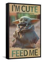 Star Wars: The Mandalorian - Feed Me-Trends International-Framed Stretched Canvas