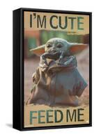 Star Wars: The Mandalorian - Feed Me-Trends International-Framed Stretched Canvas