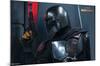 Star Wars: The Mandalorian Season 2 - Fight-Trends International-Mounted Poster