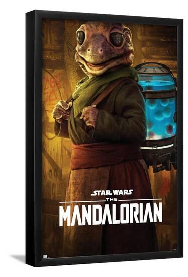 Star Wars: The Mandalorian Season 2 - Frog Lady Premium Poster--Framed Poster