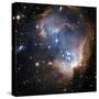Starbirth Region NGC 602-Hubble Heritage-Stretched Canvas