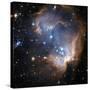 Starbirth Region NGC 602-Hubble Heritage-Stretched Canvas