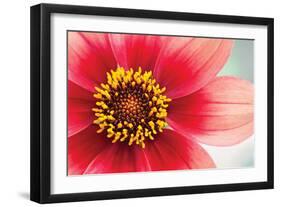 Starburst IV-Dana Styber-Framed Photographic Print