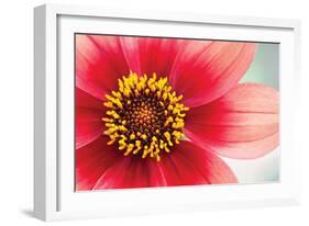 Starburst IV-Dana Styber-Framed Photographic Print