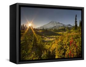 Starburst Setting Sun, Subalpine Wildflowers and Mt. Rainier at Mazama Ridge, Paradise Area-Gary Luhm-Framed Stretched Canvas