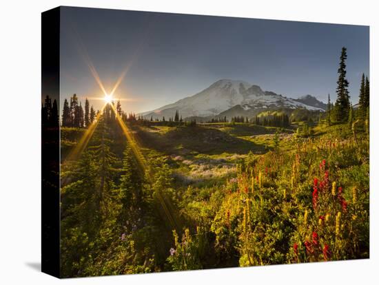 Starburst Setting Sun, Subalpine Wildflowers and Mt. Rainier at Mazama Ridge, Paradise Area-Gary Luhm-Stretched Canvas