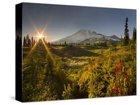 Starburst Setting Sun, Subalpine Wildflowers and Mt. Rainier at Mazama Ridge, Paradise Area-Gary Luhm-Stretched Canvas