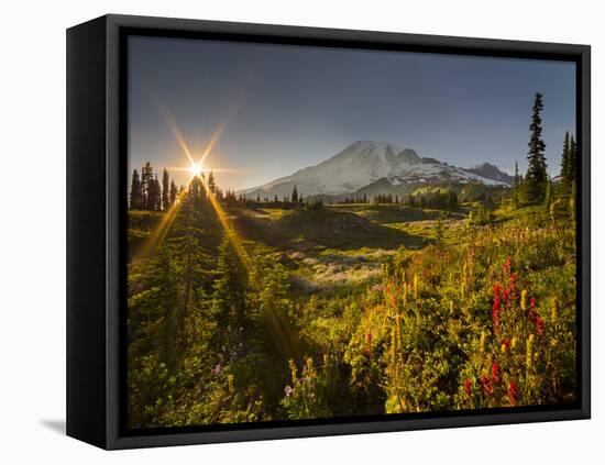 Starburst Setting Sun, Subalpine Wildflowers and Mt. Rainier at Mazama Ridge, Paradise Area-Gary Luhm-Framed Stretched Canvas