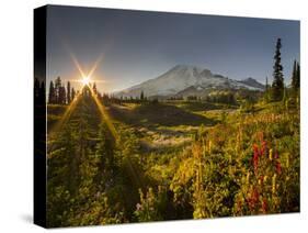 Starburst Setting Sun, Subalpine Wildflowers and Mt. Rainier at Mazama Ridge, Paradise Area-Gary Luhm-Stretched Canvas