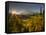 Starburst Setting Sun, Subalpine Wildflowers and Mt. Rainier at Mazama Ridge, Paradise Area-Gary Luhm-Framed Stretched Canvas