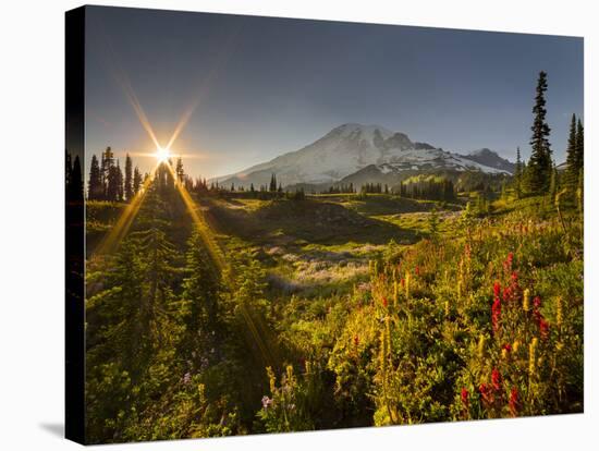 Starburst Setting Sun, Subalpine Wildflowers and Mt. Rainier at Mazama Ridge, Paradise Area-Gary Luhm-Stretched Canvas