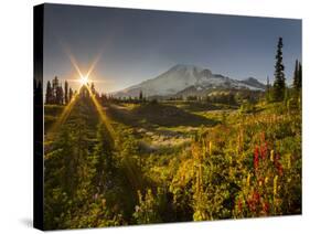 Starburst Setting Sun, Subalpine Wildflowers and Mt. Rainier at Mazama Ridge, Paradise Area-Gary Luhm-Stretched Canvas