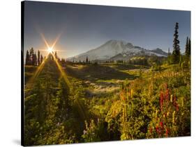 Starburst Setting Sun, Subalpine Wildflowers and Mt. Rainier at Mazama Ridge, Paradise Area-Gary Luhm-Stretched Canvas