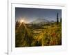 Starburst Setting Sun, Subalpine Wildflowers and Mt. Rainier at Mazama Ridge, Paradise Area-Gary Luhm-Framed Photographic Print