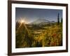 Starburst Setting Sun, Subalpine Wildflowers and Mt. Rainier at Mazama Ridge, Paradise Area-Gary Luhm-Framed Photographic Print