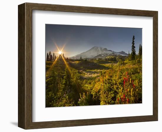 Starburst Setting Sun, Subalpine Wildflowers and Mt. Rainier at Mazama Ridge, Paradise Area-Gary Luhm-Framed Photographic Print