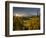 Starburst Setting Sun, Subalpine Wildflowers and Mt. Rainier at Mazama Ridge, Paradise Area-Gary Luhm-Framed Photographic Print