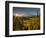 Starburst Setting Sun, Subalpine Wildflowers and Mt. Rainier at Mazama Ridge, Paradise Area-Gary Luhm-Framed Photographic Print