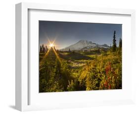 Starburst Setting Sun, Subalpine Wildflowers and Mt. Rainier at Mazama Ridge, Paradise Area-Gary Luhm-Framed Photographic Print