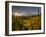 Starburst Setting Sun, Subalpine Wildflowers and Mt. Rainier at Mazama Ridge, Paradise Area-Gary Luhm-Framed Photographic Print