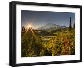 Starburst Setting Sun, Subalpine Wildflowers and Mt. Rainier at Mazama Ridge, Paradise Area-Gary Luhm-Framed Photographic Print