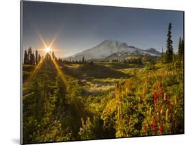Starburst Setting Sun, Subalpine Wildflowers and Mt. Rainier at Mazama Ridge, Paradise Area-Gary Luhm-Mounted Photographic Print