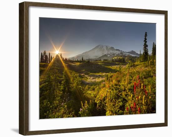 Starburst Setting Sun, Subalpine Wildflowers and Mt. Rainier at Mazama Ridge, Paradise Area-Gary Luhm-Framed Photographic Print