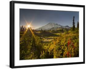 Starburst Setting Sun, Subalpine Wildflowers and Mt. Rainier at Mazama Ridge, Paradise Area-Gary Luhm-Framed Photographic Print