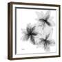 Starburst-Albert Koetsier-Framed Photographic Print