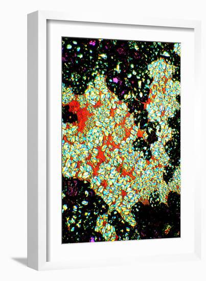 Starch Grains In Potato, Light Micrograph-Dr. Keith Wheeler-Framed Photographic Print