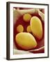 Starch Grains of Potato Cells-Micro Discovery-Framed Photographic Print