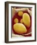 Starch Grains of Potato Cells-Micro Discovery-Framed Photographic Print