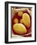 Starch Grains of Potato Cells-Micro Discovery-Framed Photographic Print