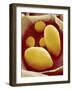 Starch Grains of Potato Cells-Micro Discovery-Framed Photographic Print