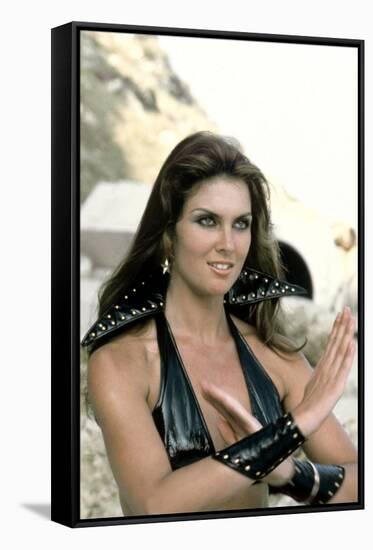 Starcrash (photo)-null-Framed Stretched Canvas