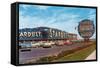 Stardust Hotel, Las Vegas, Nevada-null-Framed Stretched Canvas