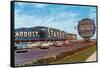 Stardust Hotel, Las Vegas, Nevada-null-Framed Stretched Canvas