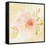 Stardust Peony-Judy Shelby-Framed Stretched Canvas