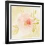 Stardust Peony-Judy Shelby-Framed Art Print