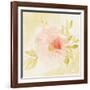 Stardust Peony-Judy Shelby-Framed Art Print